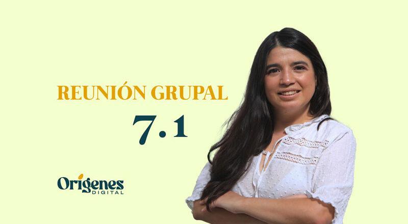 portada reunion grupal 7-1- origenes digital