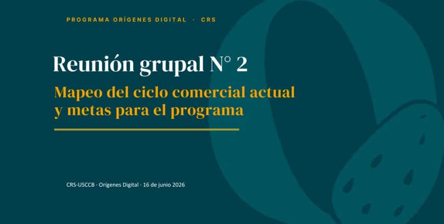 portada-reunion-grupal-crs-n-2