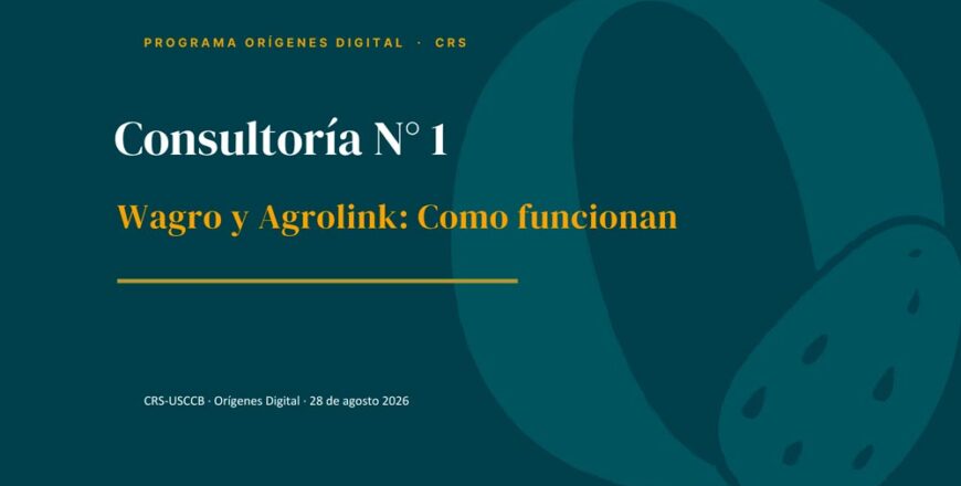 consultoria-crs-numero-1